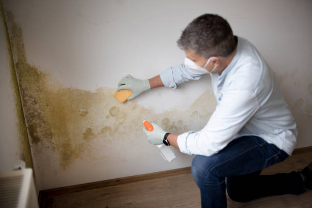 Best Crawl Space Mold Remediation  in Middletown, CT
