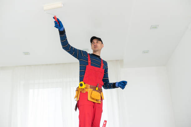 Best Attic Mold Removal  in Middletown, CT